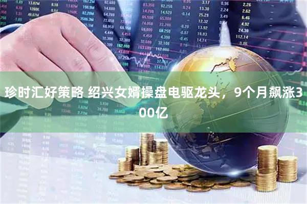 珍时汇好策略 绍兴女婿操盘电驱龙头，9个月飙涨300亿