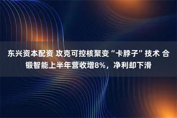 东兴资本配资 攻克可控核聚变“卡脖子”技术 合锻智能上半年营收增8%，净利却下滑