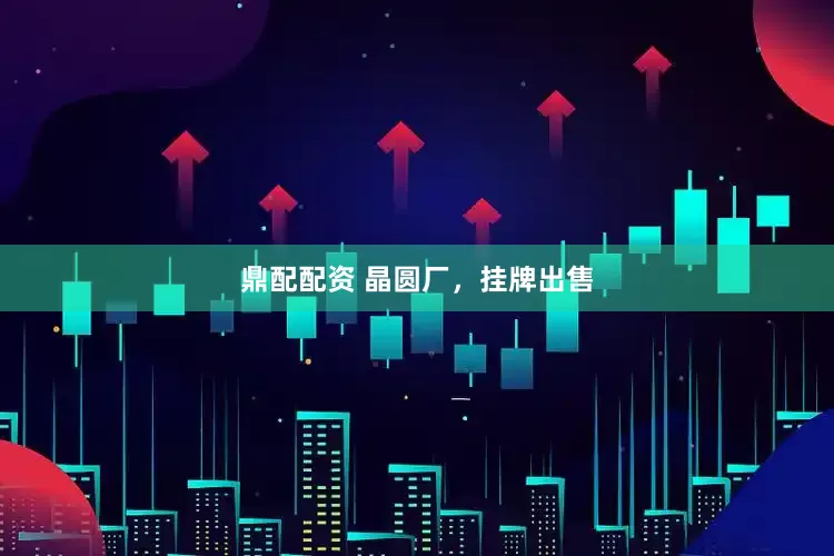 鼎配配资 晶圆厂，挂牌出售