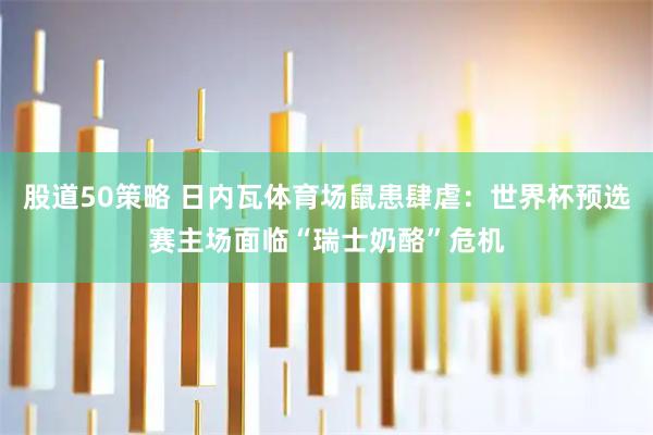 股道50策略 日内瓦体育场鼠患肆虐：世界杯预选赛主场面临“瑞士奶酪”危机
