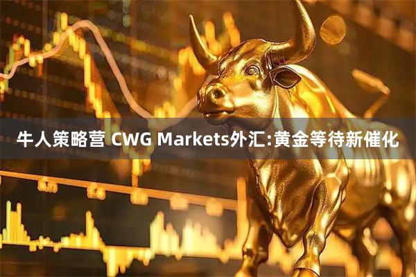 牛人策略营 CWG Markets外汇:黄金等待新催化
